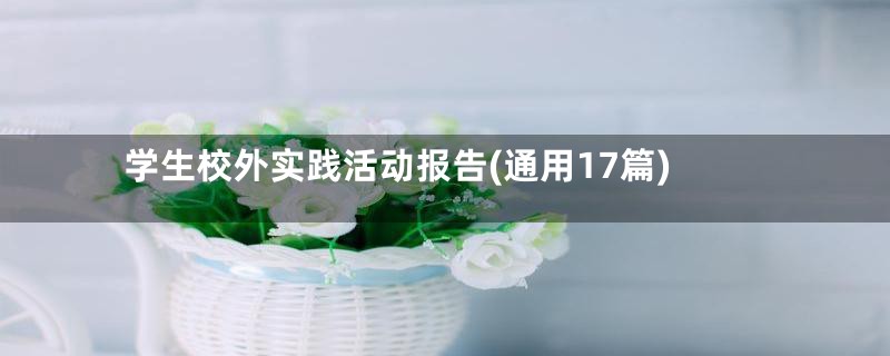 学生校外实践活动报告(通用17篇)