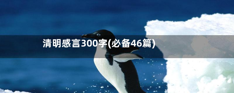 清明感言300字(必备46篇)