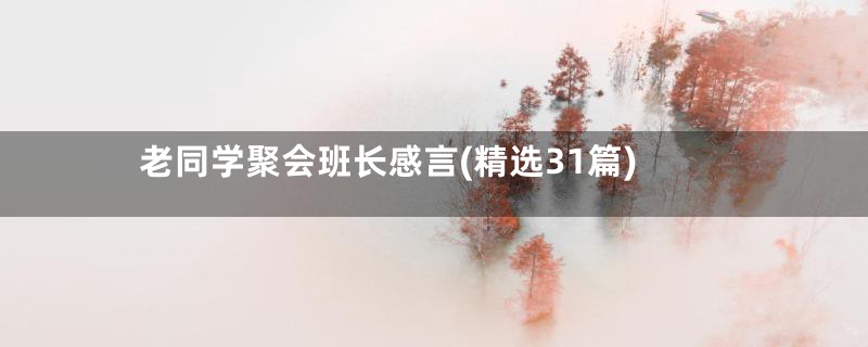 老同学聚会班长感言(精选31篇)