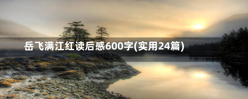 岳飞满江红读后感600字(实用24篇)