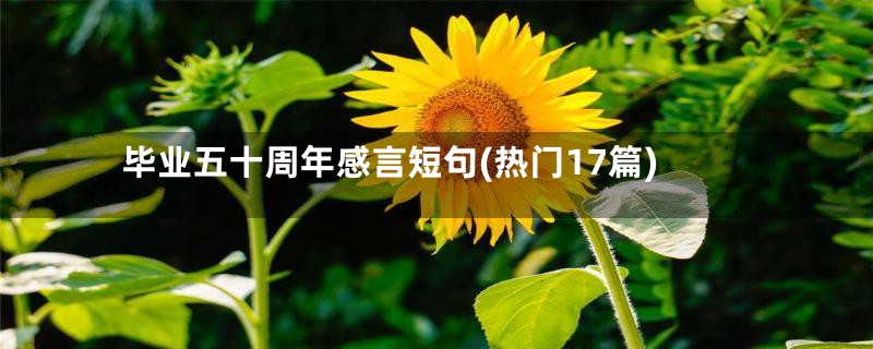 毕业五十周年感言短句(热门17篇)