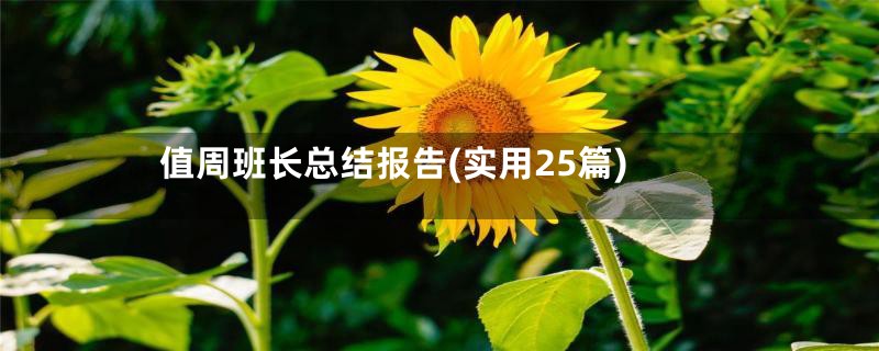 值周班长总结报告(实用25篇)