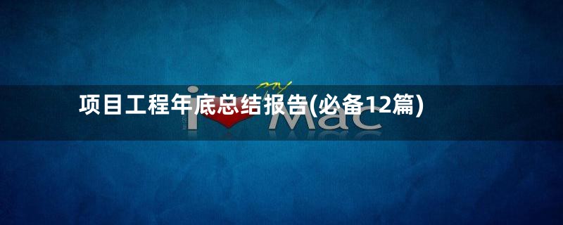 项目工程年底总结报告(必备12篇)