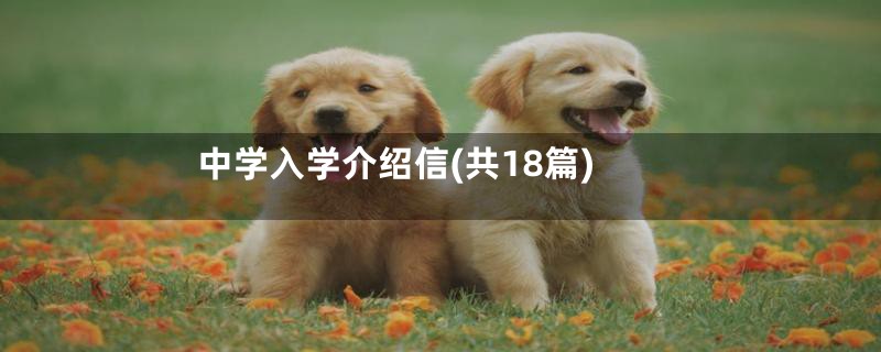 中学入学介绍信(共18篇)