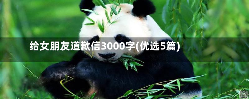 给女朋友道歉信3000字(优选5篇)