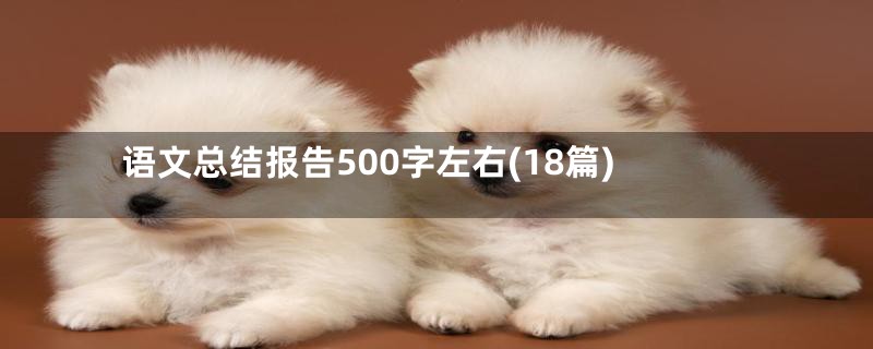 语文总结报告500字左右(18篇)