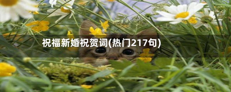 祝福新婚祝贺词(热门217句)