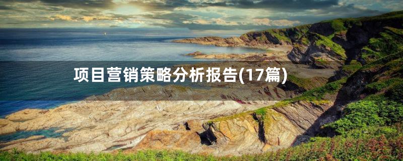 项目营销策略分析报告(17篇)