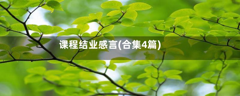 课程结业感言(合集4篇)