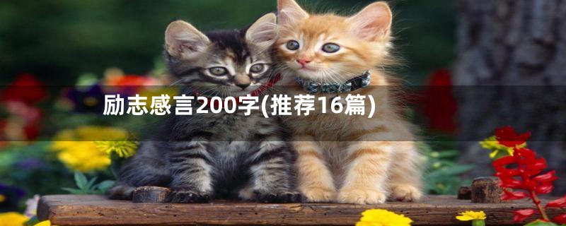 励志感言200字(推荐16篇)