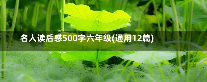 名人读后感500字六年级(通用12篇)