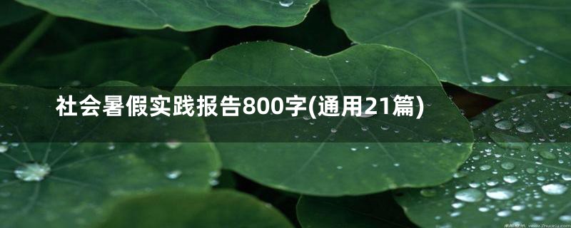 社会暑假实践报告800字(通用21篇)