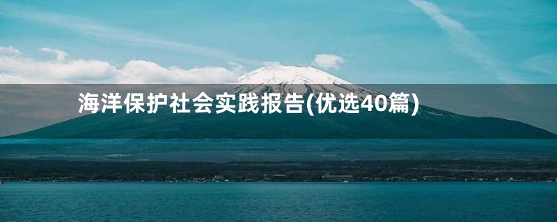 海洋保护社会实践报告(优选40篇)