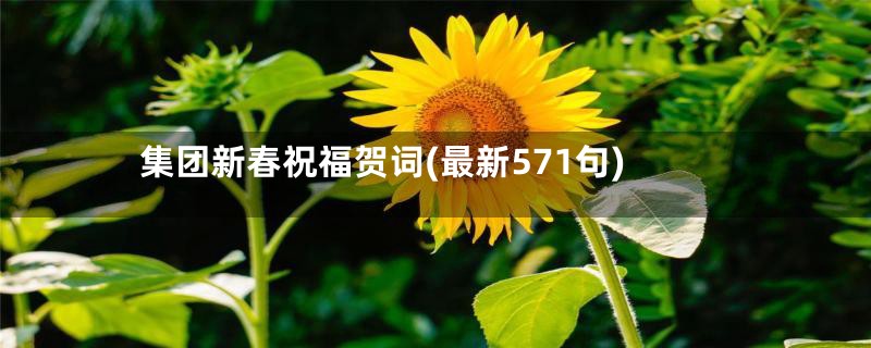 集团新春祝福贺词(最新571句)