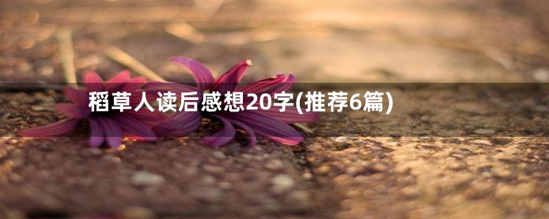 稻草人读后感想20字(推荐6篇)