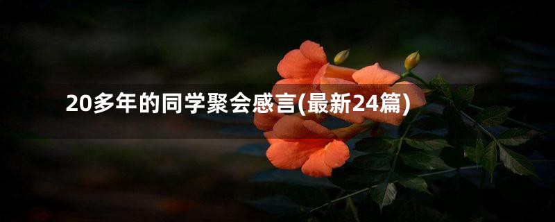 20多年的同学聚会感言(最新24篇)