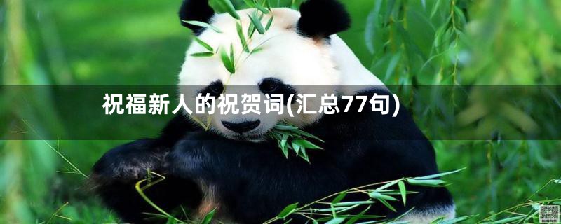 祝福新人的祝贺词(汇总77句)