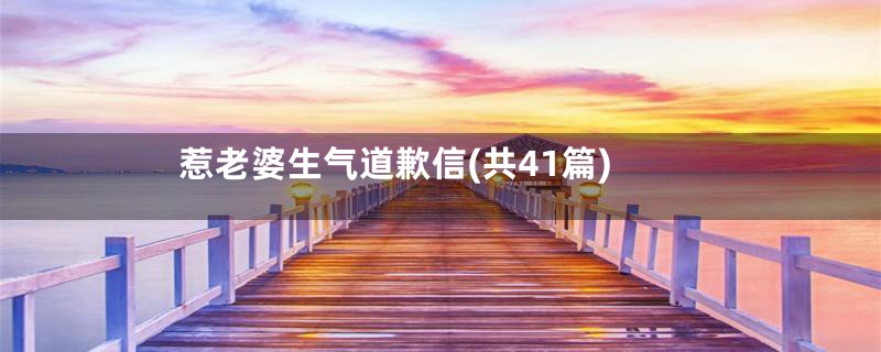 惹老婆生气道歉信(共41篇)