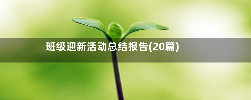 班级迎新活动总结报告(20篇)