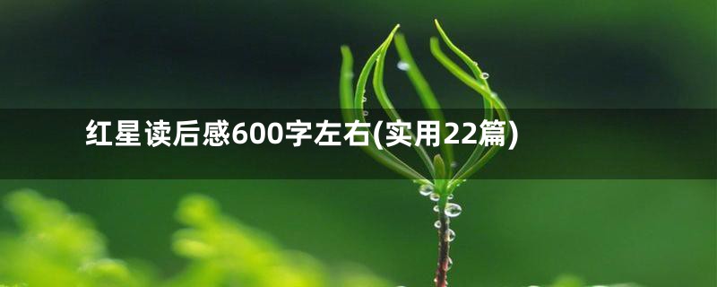 红星读后感600字左右(实用22篇)