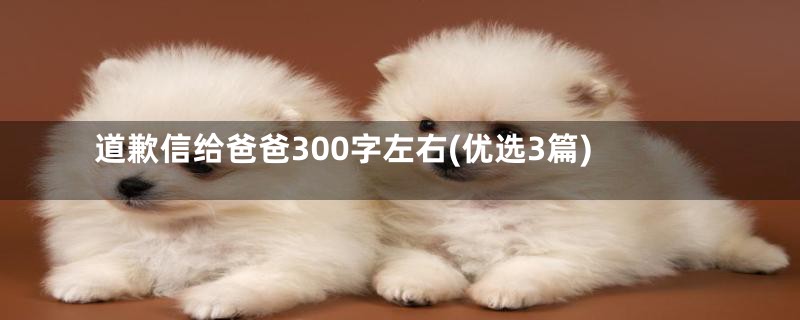 道歉信给爸爸300字左右(优选3篇)