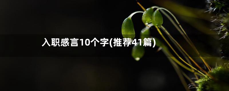 入职感言10个字(推荐41篇)