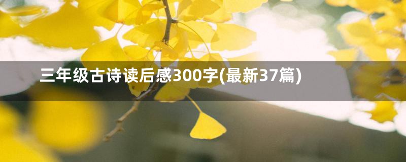 三年级古诗读后感300字(最新37篇)