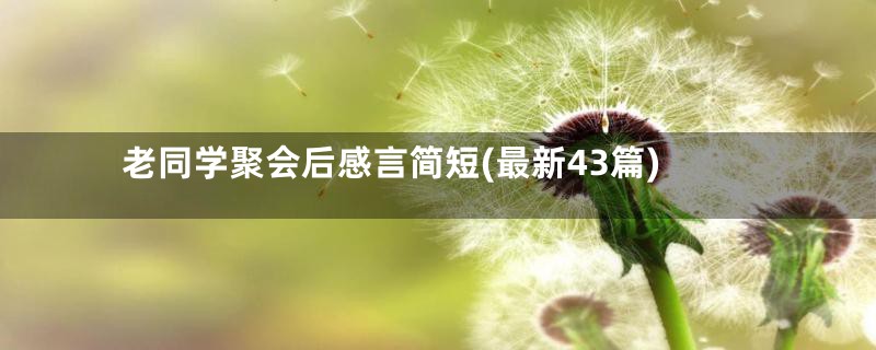 老同学聚会后感言简短(最新43篇)