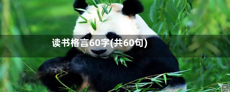 读书格言60字(共60句)