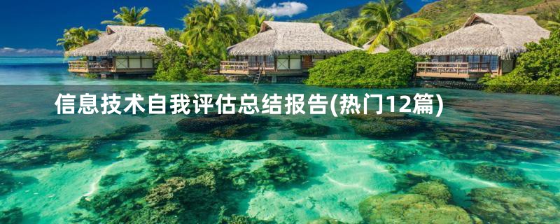 信息技术自我评估总结报告(热门12篇)