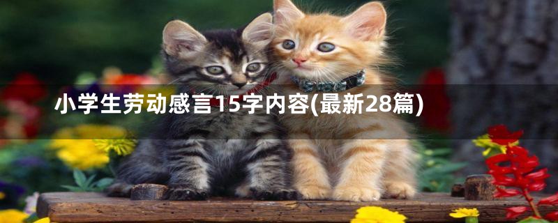 小学生劳动感言15字内容(最新28篇)