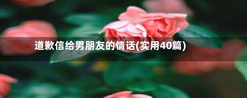 道歉信给男朋友的情话(实用40篇)