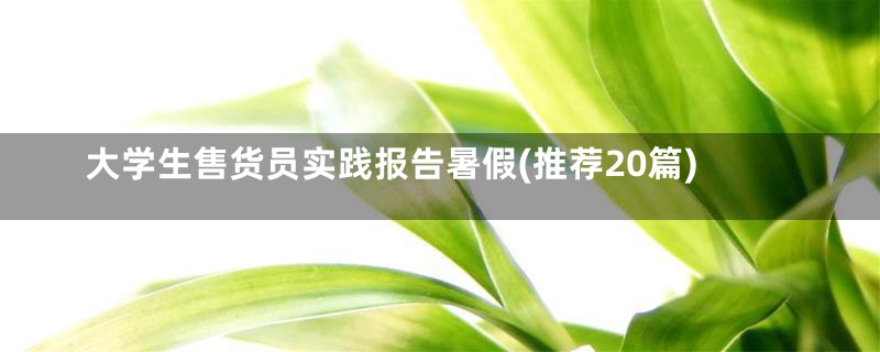 大学生售货员实践报告暑假(推荐20篇)