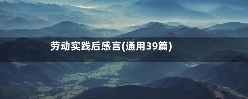 劳动实践后感言(通用39篇)