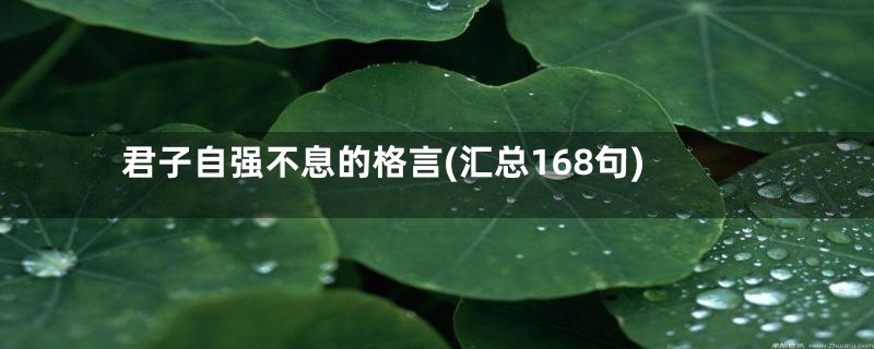 君子自强不息的格言(汇总168句)