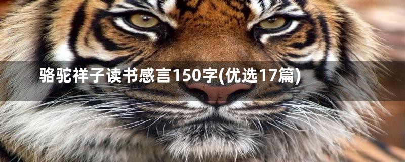 骆驼祥子读书感言150字(优选17篇)