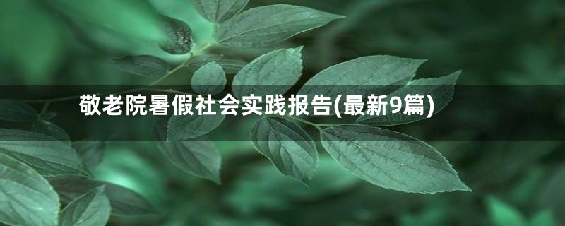 敬老院暑假社会实践报告(最新9篇)