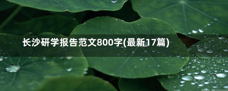 长沙研学报告范文800字(最新17篇)