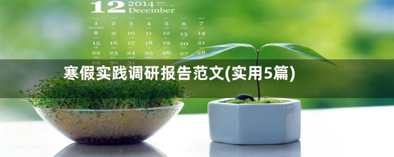 寒假实践调研报告范文(实用5篇)