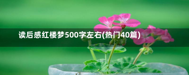 读后感红楼梦500字左右(热门40篇)