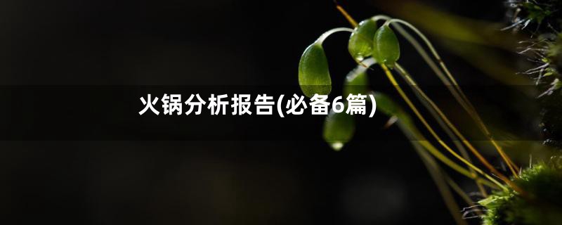 火锅分析报告(必备6篇)