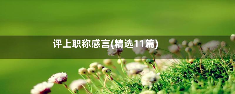 评上职称感言(精选11篇)