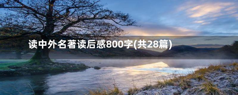 读中外名著读后感800字(共28篇)