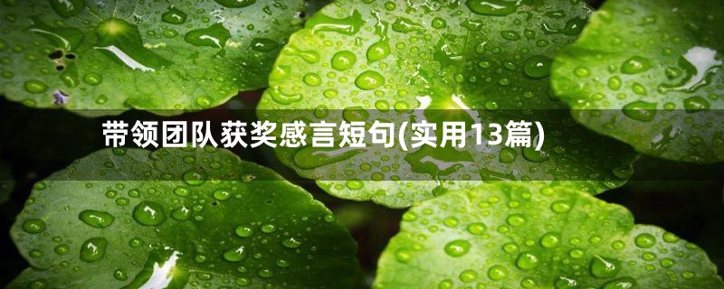 带领团队获奖感言短句(实用13篇)