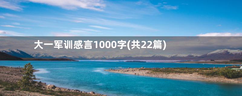 大一军训感言1000字(共22篇)