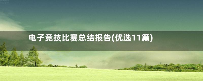 电子竞技比赛总结报告(优选11篇)