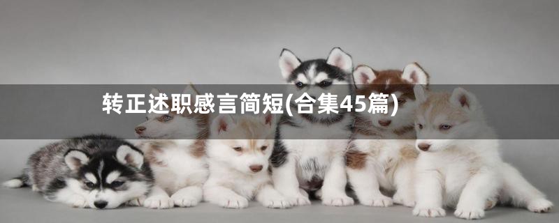 转正述职感言简短(合集45篇)