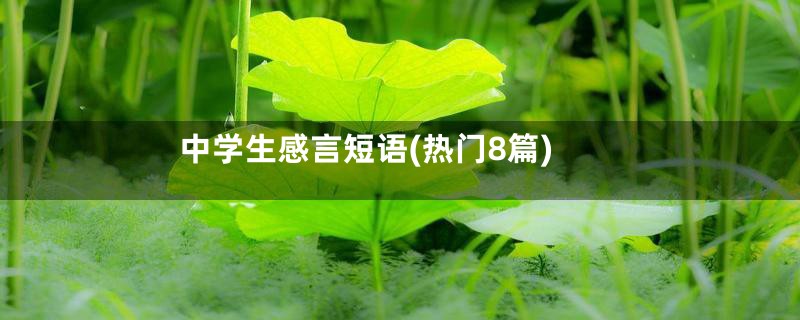 中学生感言短语(热门8篇)