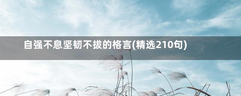 自强不息坚韧不拔的格言(精选210句)