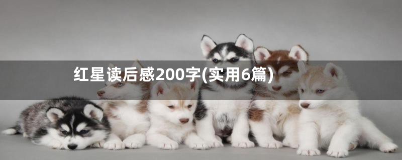 红星读后感200字(实用6篇)